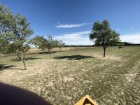 fence2.jpg