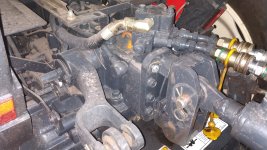 IMG_20200121_175250.jpg