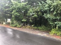IMG_3183.jpeg