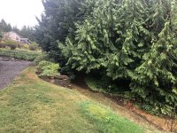 IMG_3187.jpeg