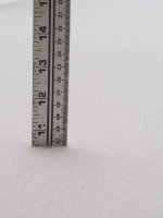 IMG_0123.JPG