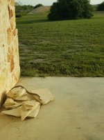 patio-snake.jpg