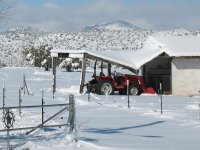 Shed and tractor13.JPG
