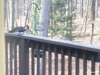 2018-03-21_09-41-05_593.jpg