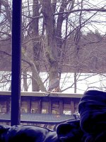 2018-12-29_13-55-52_099_kindlephoto-2691062068.jpg