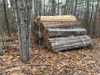 IMG-4836.JPG