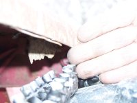 100_4175.JPG