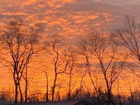 IMG_3331.JPG