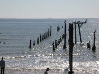 IMG_4681.jpg