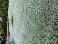 IMG_0861.jpg