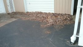 20200102_151914.jpg 20200102_151914.jpg
