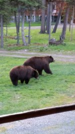 20190530_064904(3)_resized.jpg