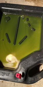 IMG_20191107_141500.jpg