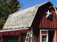 Coop Roof Old.jpeg