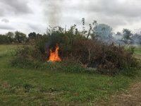 Pasture burn pile 20191020.JPG