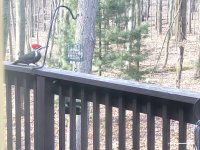 2018-03-21_09-41-04_426.jpg