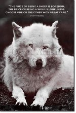 wolf.jpg