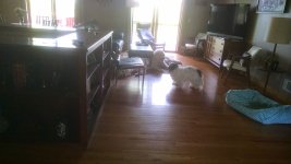 IMG_20170517_081917013.jpg