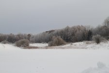 IMG_6533.JPG