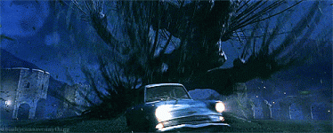 0EB3B35E-722A-48F0-A5E0-3BEA223F55F2.gif
