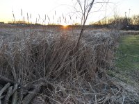 IMG_20191210_160938.jpg