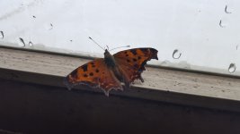 20190212_085916.jpg