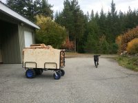 20191019_cart1.jpg