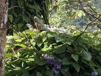 IMG_0479.jpg