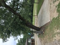 IMG_0965.JPG IMG_0965.JPG