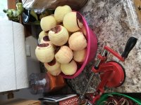 IMG_1584.JPG
