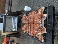 IMG_20191005_074049.jpg