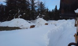 Pasture Winter 2019-2.jpg