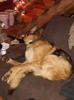 Aeke taking it easy.jpg