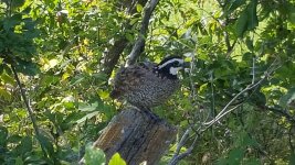 20170824_153109.jpg