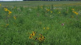 20170718_151528.jpg