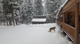 Zeke 1-6-2020.jpg