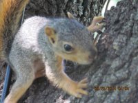 IMG_1713.JPG