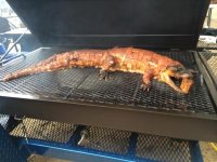 BBQ Alligator.jpg