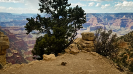canyon2.PNG