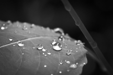droplets.PNG