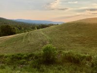 IMG_5496.jpeg