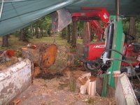 IMG_0448.JPG