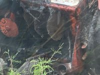 IMG_0052.jpg