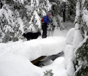 Porkies BC ski bridge dec 09.jpg