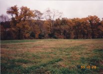 IMG_3385.JPG