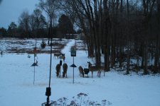 IMG_6827.JPG