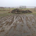 IMG_20200210_162844116.jpg