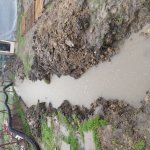IMG_20200210_162726946.jpg