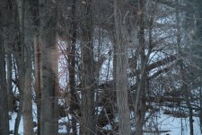 IMG_6826.JPG