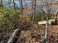 IMG_3456.jpg